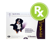 Revolution Rx for Dogs
