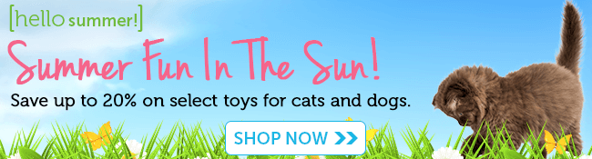 Toys for Cats and Dogs on Sale