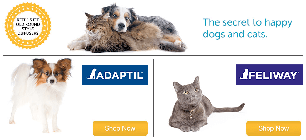 Adaptil and Feliway - the secret to happy cats and dogs