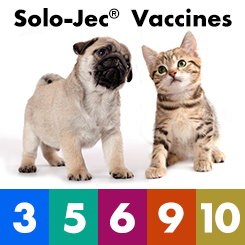 SoloJec Vaccines